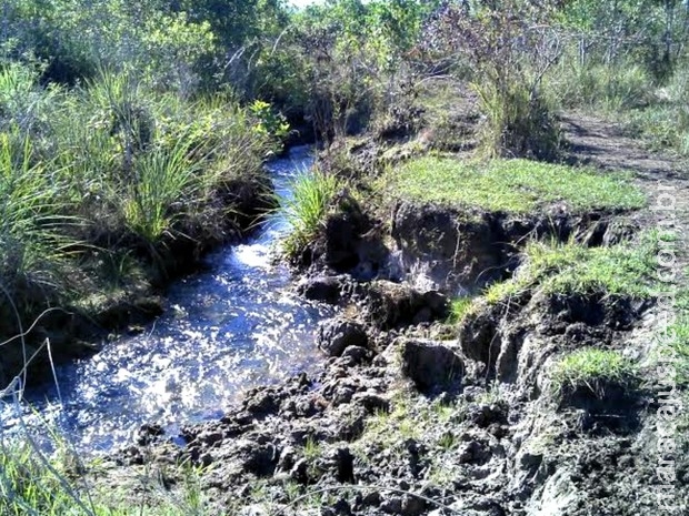 Fazendeira é multada em R$ 10 mil por crime ambiental em MS, diz polícia Fazendeira é multada em R$ 10 mil por crime ambiental em MS, diz polícia