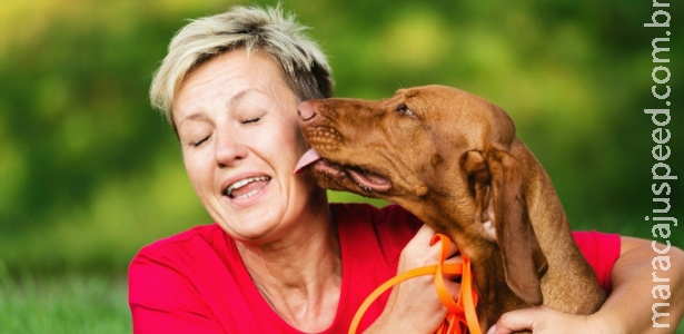 Fofura sem fim: estudo mostra que cães preferem carinho a comida Fofura sem fim: estudo mostra que cães preferem carinho a comida