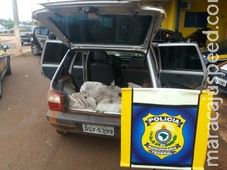 Polícia apreende quase 300 kg de maconha e detém 4