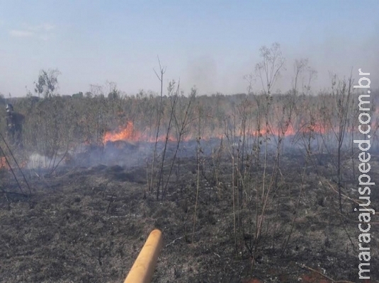 Incêndio atinge vegetação na região do Guaicurus em Dourados