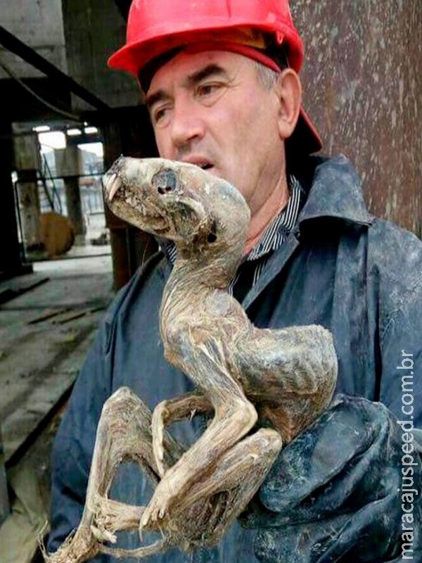 Monstro mumificado é achado em mina de diamantes na Sibéria Monstro mumificado é achado em mina de diamantes na Sibéria