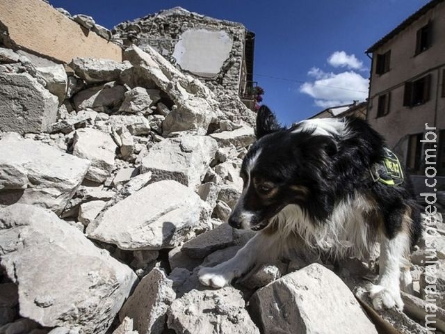 Número de mortos após terremoto na região central da Itália vai a 267 Número de mortos após terremoto na região central da Itália vai a 267