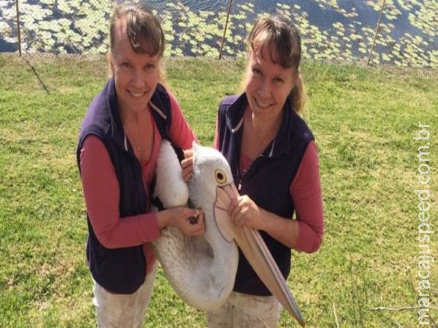 As gêmeas australianas que fazem tudo juntas – até falar As gêmeas australianas que fazem tudo juntas – até falar