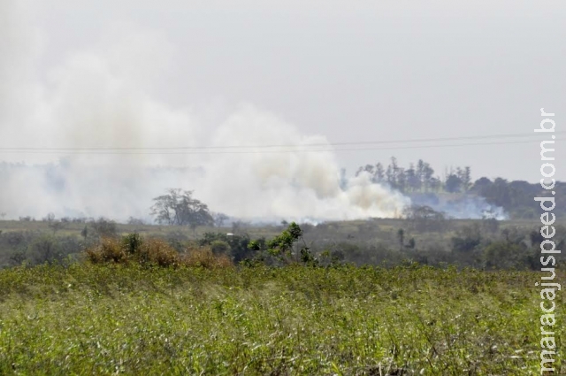 Produtor deve ficar atento ao prazo da proibição de queimada controlada Produtor deve ficar atento ao prazo da proibição de queimada controlada