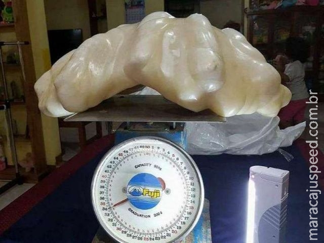 Pescador guardou debaixo da cama pérola que vale R$ 320 milhões Pescador guardou debaixo da cama pérola que vale R$ 320 milhões