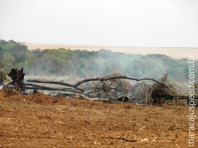 PMA autua proprietário rural em R$ 4,5 mil por desmatamento e incêndio ilegais