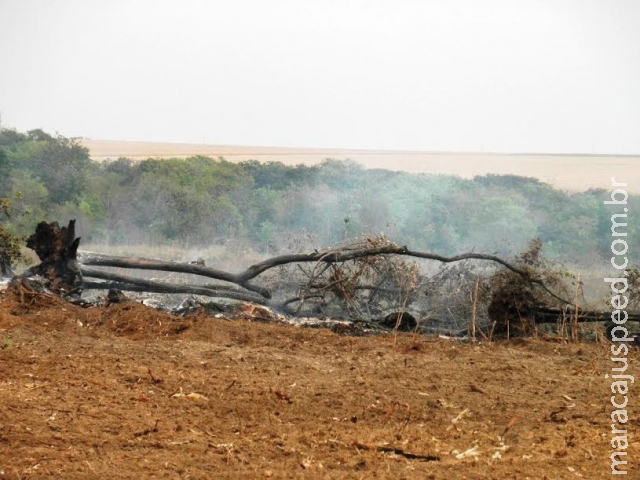 PMA autua proprietário rural em R$ 4,5 mil por desmatamento e incêndio ilegais PMA autua proprietário rural em R$ 4,5 mil por desmatamento e incêndio ilegais