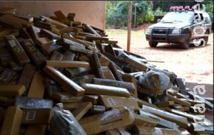 Denúncia leva polícia a apreender mais de 1,5 tonelada de maconha na Capital