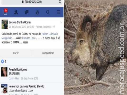 Nomeado por Sarney Filho para Ibama já comemorou comer animal silvestre Nomeado por Sarney Filho para Ibama já comemorou comer animal silvestre