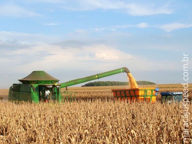 Colheita do milho alcança 71% das lavouras de MS, segundo Aprosoja/MS Colheita do milho alcança 71% das lavouras de MS, segundo Aprosoja/MS