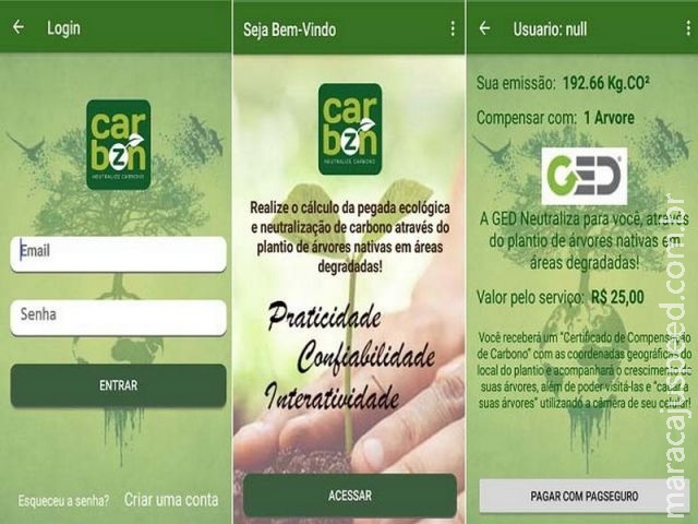 App diz quanto a pessoa emite de CO2 e como compensar em mudas