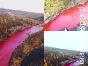  A situação do rio vermelho-sangue na Rússia é pior do que pensávamos