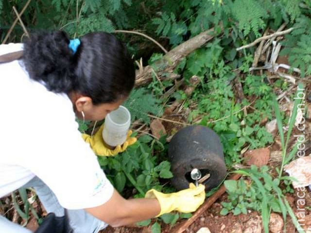 Ações contra o mosquito Aedes Aegypti serão antecipadas em MS Ações contra o mosquito Aedes Aegypti serão antecipadas em MS