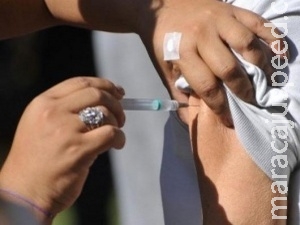 Na Capital, 1,2 mil serão " cobaias " em teste de vacina contra a dengue