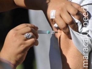 Na Capital, 1,2 mil serão " cobaias " em teste de vacina contra a dengue Na Capital, 1,2 mil serão " cobaias " em teste de vacina contra a dengue