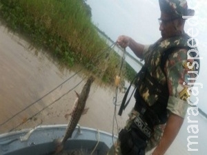 Operação no Rio Paraná apreende material ilegal e solta 30 kg de peixes