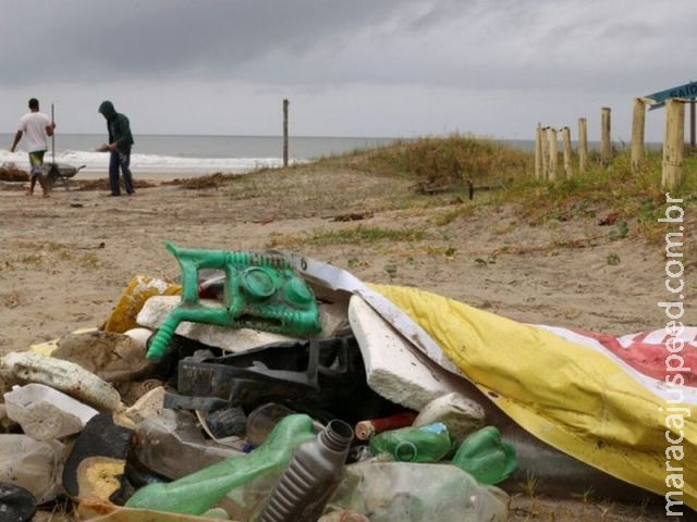 Voluntários recolhem meia tonelada de lixo em praia de Ilha Comprida, SP Voluntários recolhem meia tonelada de lixo em praia de Ilha Comprida, SP