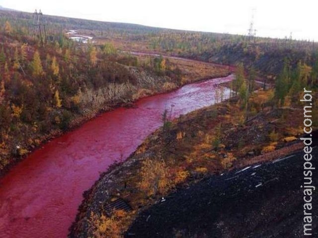 Rio fica vermelho-sangue e intriga russos Rio fica vermelho-sangue e intriga russos