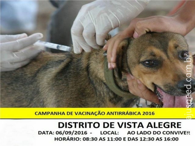 Maracaju: Campanha de vacinação antirrábica cães e gatos - 2016