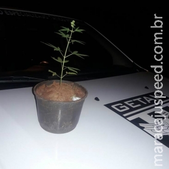 Dupla rouba celular e GPS leva polícia à casa de assaltante