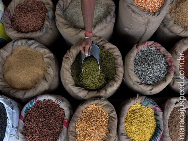 Outras saídas para o complexo caminho dos alimentos Outras saídas para o complexo caminho dos alimentos