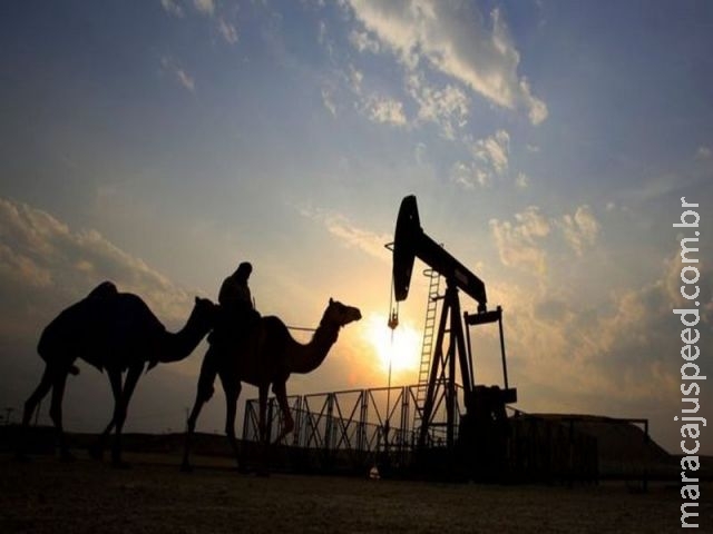 Como o Estado participa na exploração de petróleo em outros países? Como o Estado participa na exploração de petróleo em outros países?
