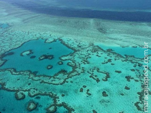  Poluição ameaça Grande Barreira de Corais australiana