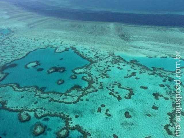 Poluição ameaça Grande Barreira de Corais australiana Poluição ameaça Grande Barreira de Corais australiana