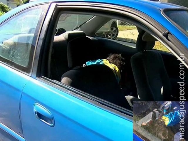 Polícia americana quebra vidro de carro após confundir peruca com bebê Polícia americana quebra vidro de carro após confundir peruca com bebê