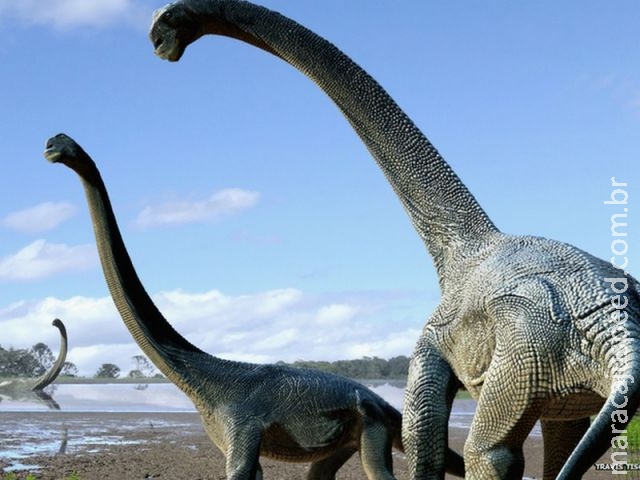 Dinossauros gigantes sul-americanos podem ter cruzado continentes, diz estudo Dinossauros gigantes sul-americanos podem ter cruzado continentes, diz estudo