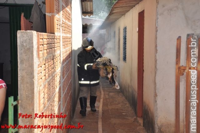 Maracaju: Casa tem guarda-roupas consumido por incêndio após curto circuito iniciar chamas Maracaju: Casa tem guarda-roupas consumido por incêndio após curto circuito iniciar chamas