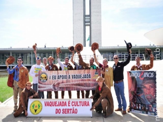 Senado analisa quatro propostas para regularizar vaquejada Senado analisa quatro propostas para regularizar vaquejada