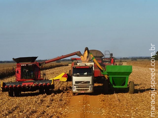 MS: preço da soja e do milho se mantém estável em setembro