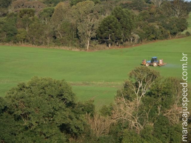 Fertilizante na medida certa Fertilizante na medida certa