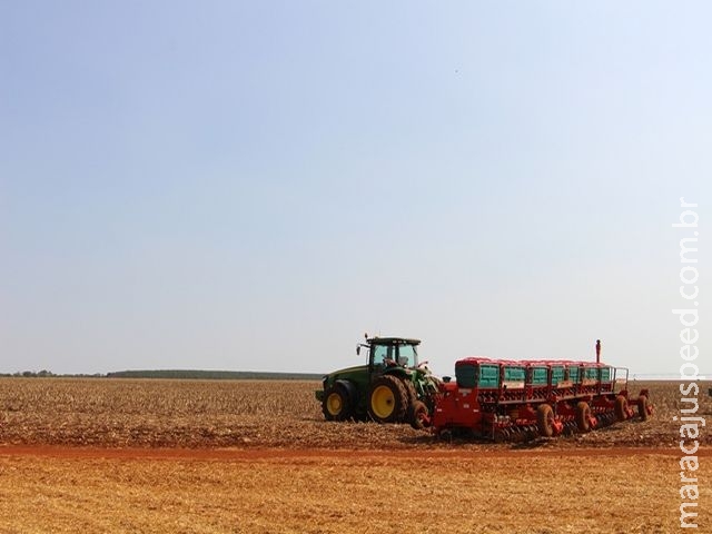Semeadura da soja chega a 36% das lavouras do estado, segundo Aprosoja/MS Semeadura da soja chega a 36% das lavouras do estado, segundo Aprosoja/MS