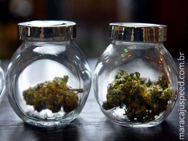 Nos EUA, impostos da maconha vão para combate ao bullying nas escolas Nos EUA, impostos da maconha vão para combate ao bullying nas escolas