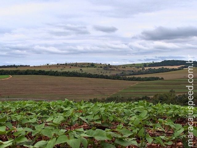 Mudança climática cria dúvidas sobre disponibilidade de alimentos, diz FAO Mudança climática cria dúvidas sobre disponibilidade de alimentos, diz FAO