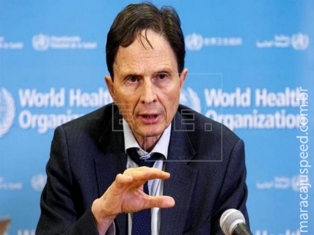 Epidemia de zika já não constitui emergência sanitária internacional Epidemia de zika já não constitui emergência sanitária internacional