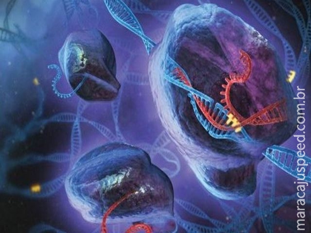 Genes editados com a técnica Crispr são injetados pela 1ª vez em humanos