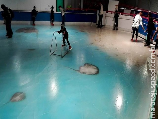 Após críticas, parque japonês fecha pista de patinação sobre peixes congelados Após críticas, parque japonês fecha pista de patinação sobre peixes congelados