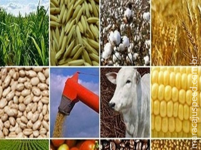 Agronegócio brasileiro e o apetite da China Agronegócio brasileiro e o apetite da China