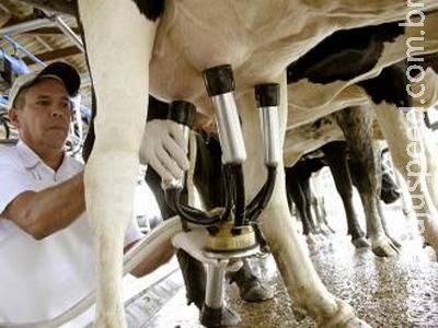 Excedente da produção de leite em MS chega a 78 milhões de litros/ano