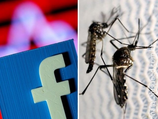  Três dos dez artigos sobre zika mais compartilhados no Facebook são piada ou boato