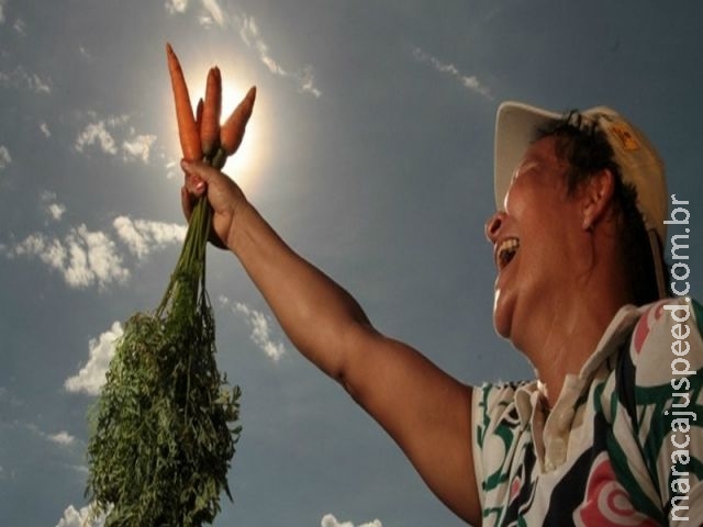 PIB do Agronegócio cresceu 2,71% de janeiro a julho de 2016 PIB do Agronegócio cresceu 2,71% de janeiro a julho de 2016