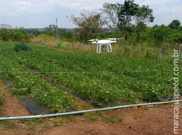 Projeto prevê uso de drones no combate a doenças e pragas no cultivo de tomate Projeto prevê uso de drones no combate a doenças e pragas no cultivo de tomate