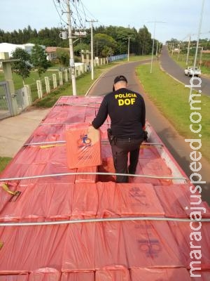 DOF apreende carga de cigarro avaliada em mais de R$ 2 mi