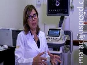 Epidemia do vírus Zika no Brasil completa um ano com desafio na área de pesquisa