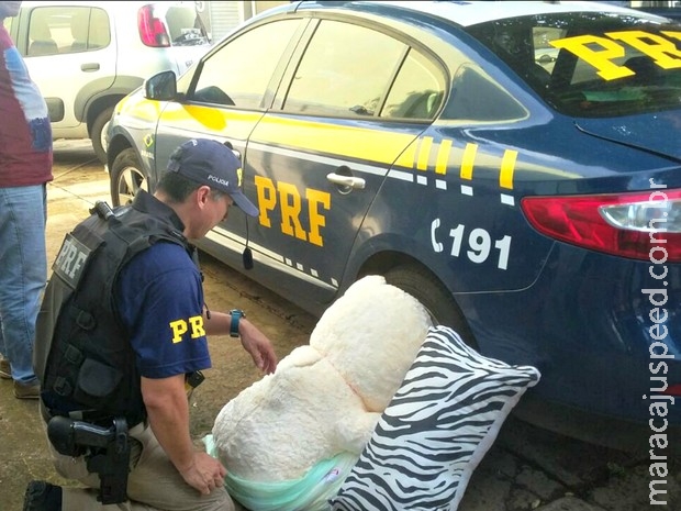 PRF apreende 8 kg de cocaína escondida em urso de pelúcia em MS