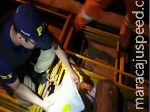 PRF apreende agrotóxico avaliado em R$ 240 mil PRF apreende agrotóxico avaliado em R$ 240 mil