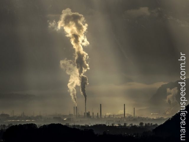 Mudança climática já afeta 82% da vida na Terra, diz estudo Mudança climática já afeta 82% da vida na Terra, diz estudo